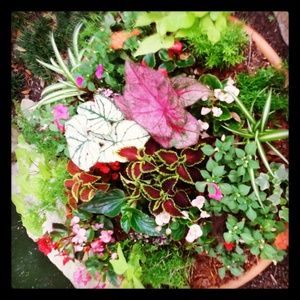 Meet your Posher, Laura